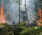 В Мордовии с 16 по 19 августа сохраняется высокая пожарная опасность лесов 10 В Мордовии с 16 по 19 августа сохраняется высокая пожарная опасность лесов old 113764 В Мордовии с 16 по 19 августа сохраняется высокая пожарная опасность лесов