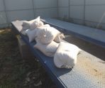 В Мордовии комбайнер украл 520 кг зерна 12 В Мордовии комбайнер украл 520 кг зерна old 113811 В Мордовии комбайнер украл 520 кг зерна