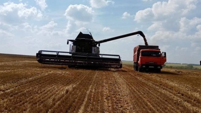 old 114124 В Рузаевском районе завершена уборка озимой пшеницы