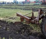 old 114243 На «службе» у мордовских аграриев — более 2400 тракторов