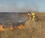 old 114312 В Ростовской области локализовали лесной пожар площадью 269 га