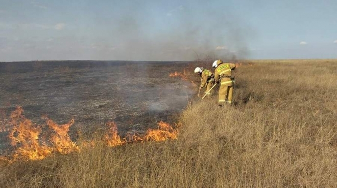 old 114312 В Ростовской области локализовали лесной пожар площадью 269 га