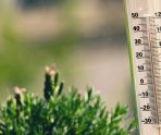 В Мордовии 30 августа будет до +29°С 11 В Мордовии 30 августа будет до +29°С old 114353 В Мордовии 30 августа будет до +29°С
