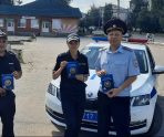 В Инсаре провели акцию «Осторожно! На дорогах дети!» 13 В Инсаре провели акцию «Осторожно! На дорогах дети!» old 114452 В Инсаре провели акцию «Осторожно! На дорогах дети!»