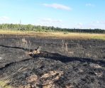 Возле деревни в Мордовии загорелась трава 6 Возле деревни в Мордовии загорелась трава old 114587 Возле деревни в Мордовии загорелась трава