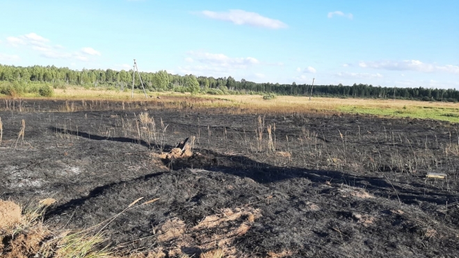 old 114587 Возле деревни в Мордовии загорелась трава