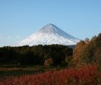 На Камчатке погибли несколько туристов 5 На Камчатке погибли несколько туристов old 114588 На Камчатке погибли несколько туристов