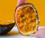 На Кубани собрали первый урожай маракуйи 4 На Кубани собрали первый урожай маракуйи old 114869 На Кубани собрали первый урожай маракуйи