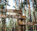 old 115038 Жителей Мордовии приглашают на фестиваль оздоровительных практик