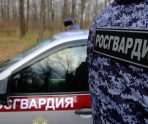 old 115041 Пьяный водитель в Мордовии протаранил забор