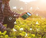 old 115047 30 команд от Мурманска до Владивостока поборются в финале AgroCode Hack 2022