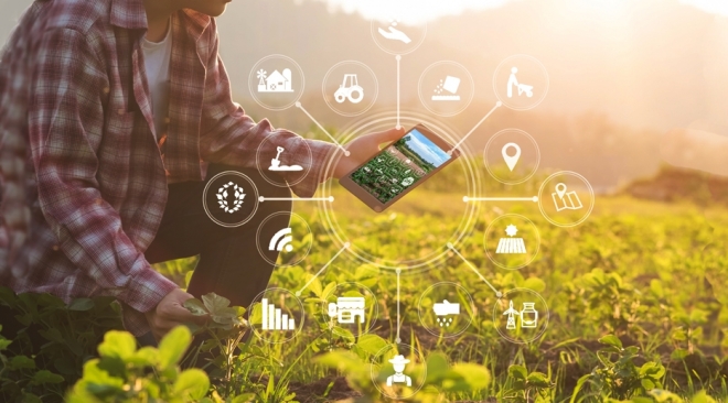 old 115047 30 команд от Мурманска до Владивостока поборются в финале AgroCode Hack 2022