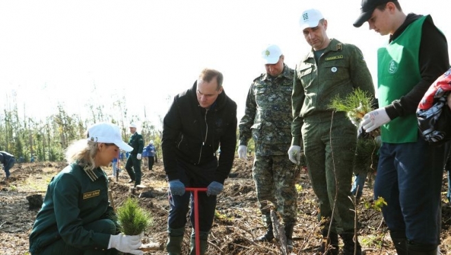old 115134 В Мордовии стартовала акция по посадке леса