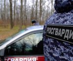 old 115164 В Зубово-Полянском районе задержали пьяного водителя
