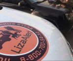 old 115203 Активисты отряда «Лиза Алерт» проведут лекцию для новичков в Саранске