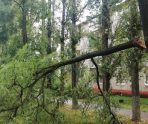 old 115222 В результате урагана в Курске погибли два человека