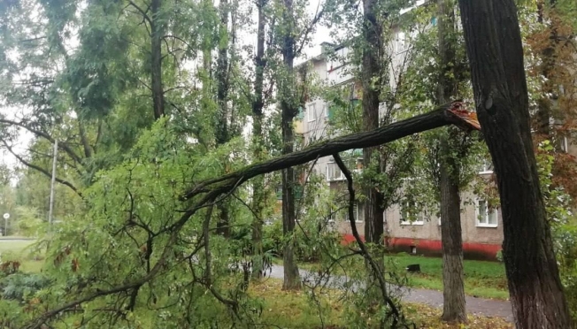 old 115222 В результате урагана в Курске погибли два человека