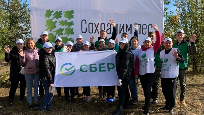 old 115299 Сотрудники Сбера приняли участие в восстановлении леса в Старошайговском районе Мордовии