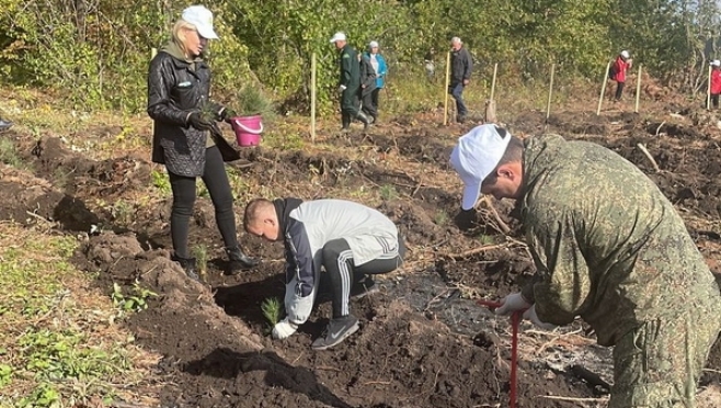 old 115346 Сотрудники мордовского УФСИН приняли участие в акции «Сохраним лес»