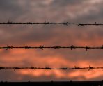 Жителя Мордовии отправили в колонию строгого режима за серию краж и неудачный угон 6 Жителя Мордовии отправили в колонию строгого режима за серию краж и неудачный угон old 115517 Жителя Мордовии отправили в колонию строгого режима за серию краж и неудачный угон