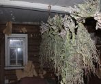 Житель Мордовии вырастил дома 270 кустов мака 4 Житель Мордовии вырастил дома 270 кустов мака old 115669 Житель Мордовии вырастил дома 270 кустов мака