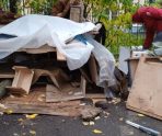 old 115775 В Саранске двух кошек забили табуретом, а третью облили кипятком