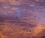 5 октября в Мордовии ожидается небольшой дождь 5 5 октября в Мордовии ожидается небольшой дождь old 115865 5 октября в Мордовии ожидается небольшой дождь