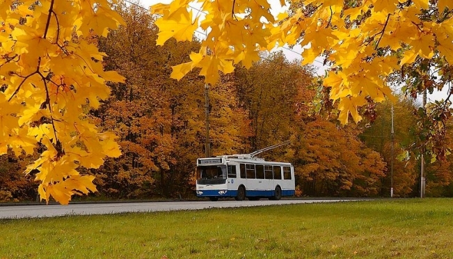 old 115896 В Саранске троллейбусы № 13 временно заменят автобусами