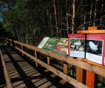 old 115905 В Мордовском заповеднике закрыли на реконструкцию одну из троп