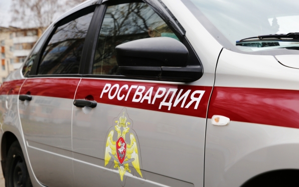 old 116000 В Мордовии росгвардейцы задержали правонарушителя
