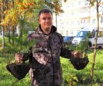 old 116046 В Рузаевке появилась аллея медиков