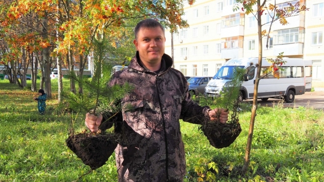 old 116046 В Рузаевке появилась аллея медиков