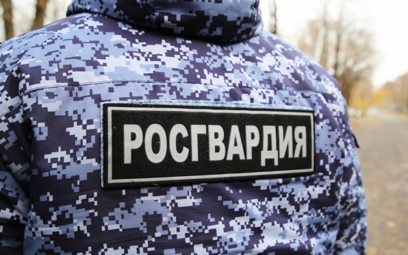 old 116115 Житель Саранска напился и избил родственницу