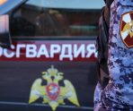 В Саранске поймали похитителя алкоголя 12 В Саранске поймали похитителя алкоголя old 116248 В Саранске поймали похитителя алкоголя