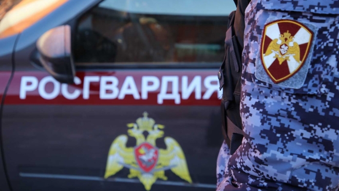 old 116248 В Саранске поймали похитителя алкоголя