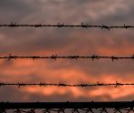 Заключенного в Мордовии оштрафовали за татуировки 12 Заключенного в Мордовии оштрафовали за татуировки old 116269 Заключенного в Мордовии оштрафовали за татуировки