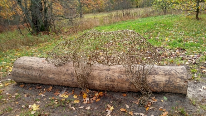 old 116413 В Национальном парке «Смольный» появились новые арт-объекты