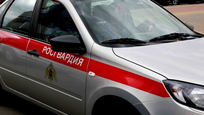 old 116609 В Саранске росгвардейцы пресекли кражу металла