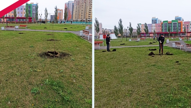 old 116761 Осенняя высадка деревьев завершается в Саранске