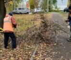 В Саранске проходит плановая обрезка деревьев 12 В Саранске проходит плановая обрезка деревьев old 116816 В Саранске проходит плановая обрезка деревьев