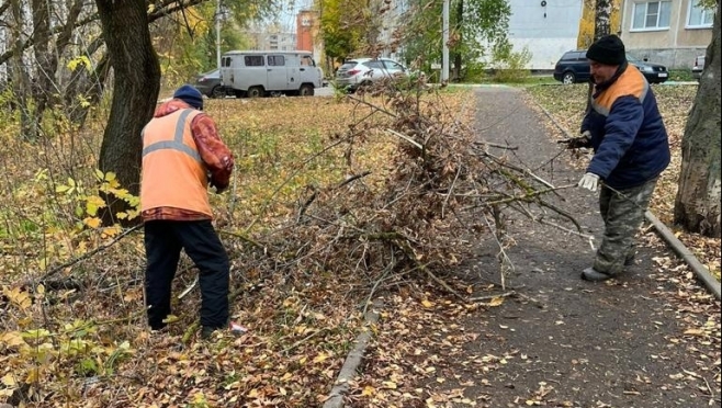 old 116816 В Саранске проходит плановая обрезка деревьев