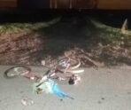 В Теньгушевском районе пьяный водитель автобуса сбил велосипедиста 7 В Теньгушевском районе пьяный водитель автобуса сбил велосипедиста old 116819 В Теньгушевском районе пьяный водитель автобуса сбил велосипедиста