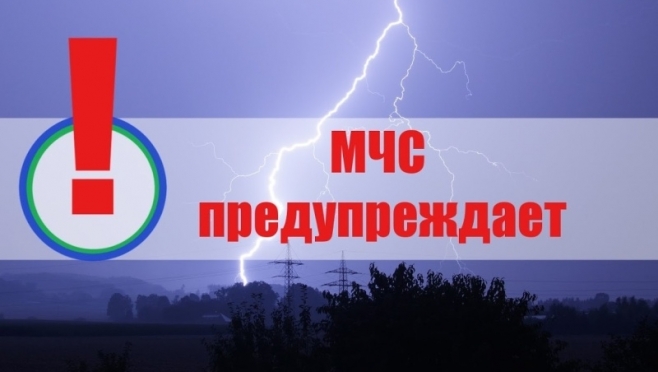 old 116923 В Мордовии из-за ветра объявлено оперативное предупреждение