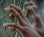 Житель Темниковского района осужден за кражу 10 Житель Темниковского района осужден за кражу old 116972 Житель Темниковского района осужден за кражу