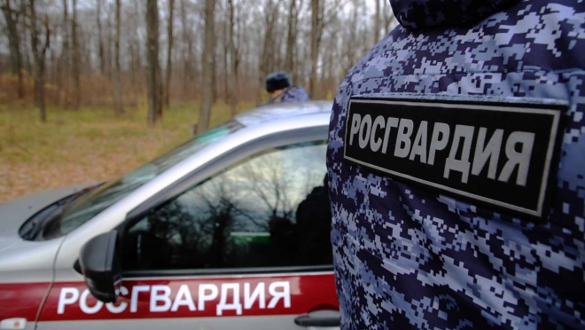 old 117746 В Саранске местная жительница попалась на краже парфюмерии