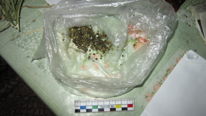 old 117797 В Мордовии 37-летнего мужчину подозревают в хранении марихуаны