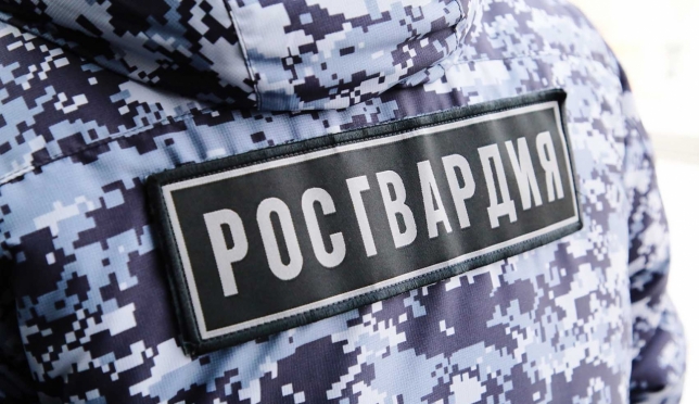 old 118052 В Саранске мужчина разбил канализационным люком окно иномарки и улегся спасть в салоне
