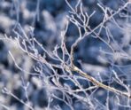 В Иркутской области при -40°С 13 домов остались без отопления 4 В Иркутской области при -40°С 13 домов остались без отопления old 118070 В Иркутской области при -40°С 13 домов остались без отопления