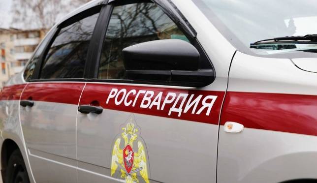 old 118223 В Мордовии росгвардейцы задержали женщину, подозреваемую в краже