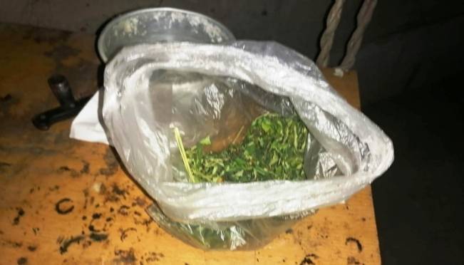 Житель Мордовии обвиняется в хранении более 30 граммов марихуаны 9 Житель Мордовии обвиняется в хранении более 30 граммов марихуаны old 118344 Житель Мордовии обвиняется в хранении более 30 граммов марихуаны